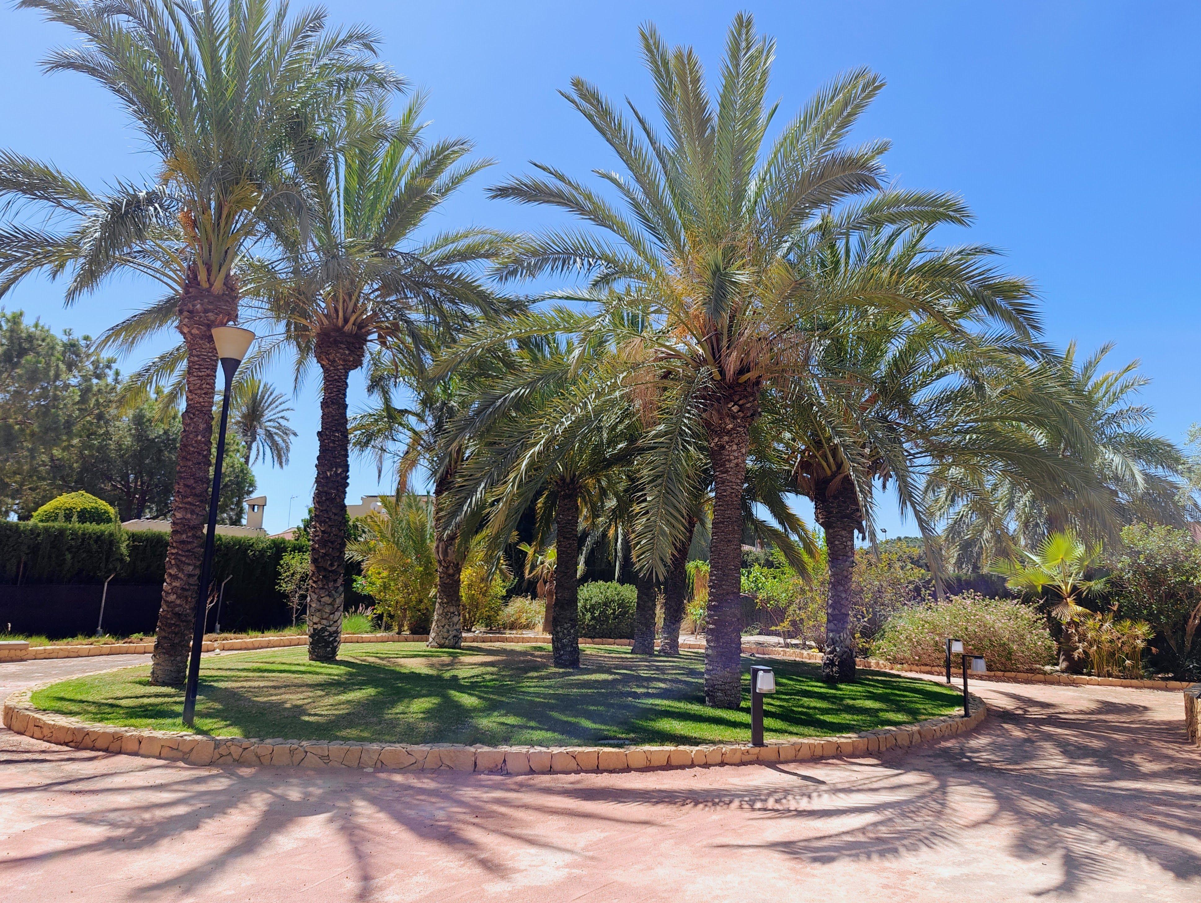 Chalet en venta en Elche con 6 dormitorios y piscina